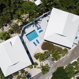 Villa 3 Bedroom Of Elephant Walk, Grace Bay